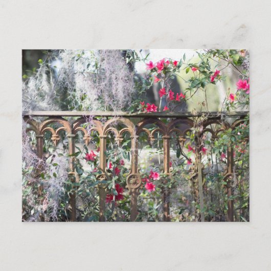 Savannah Post Kaart Laurel Grove (Voorkant)