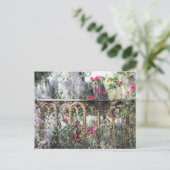 Savannah Post Kaart Laurel Grove (Staand voorkant)