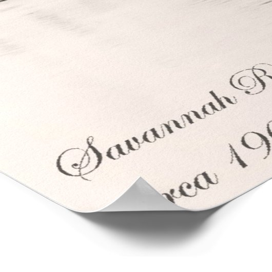 Savannah Poster (Hoek)