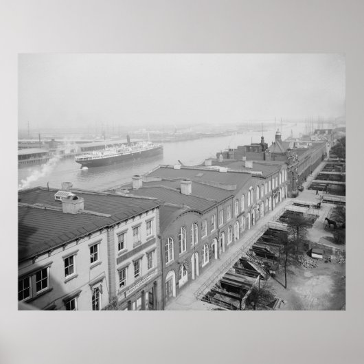 Savannah Poster (Voorkant)