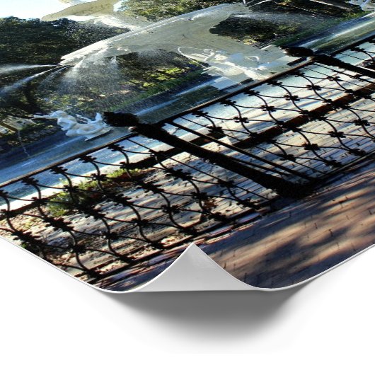 Savannah-reeks: fontein poster (Hoek)