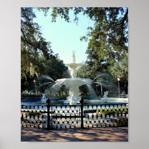 Savannah-reeks: fontein poster
