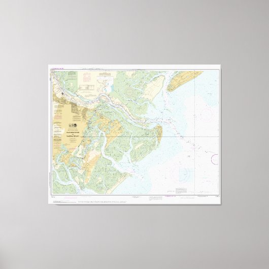 Savannah River en Wassaw Sound 11512 met Border Canvas Afdruk (Voorkant)