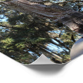 Savannah-serie: Bonaventure Cemetery Angel Poster (Hoek)