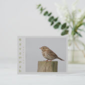 Savannah Sparrow Briefkaart (Staand voorkant)