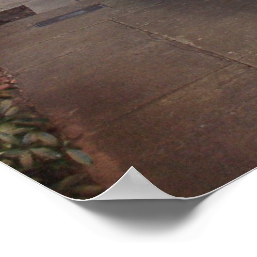 Savannah Staircase Framed Print (Hoek)