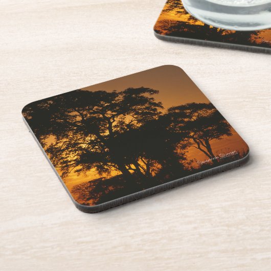 Savannah Sunset Bier Onderzetter (Linkerzijde)