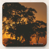Savannah Sunset Bier Onderzetter (Voorkant)
