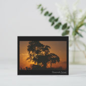 Savannah Sunset Briefkaart (Staand voorkant)