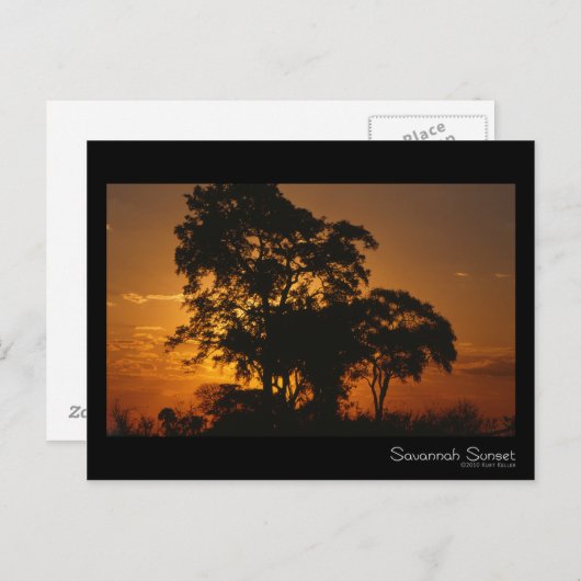 Savannah Sunset Briefkaart (Voorkant / Achterkant)