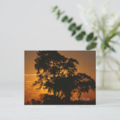 Savannah Sunset Briefkaart (Staand voorkant)