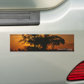 Savannah Sunset Bumpersticker (Op auto)