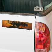 Savannah Sunset Bumpersticker (Op Truck)