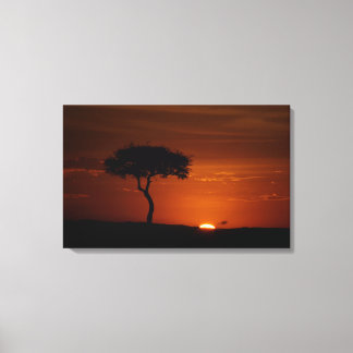 Savannah Sunset Canvas Afdruk