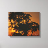 Savannah Sunset Canvas Afdruk (Voorkant)