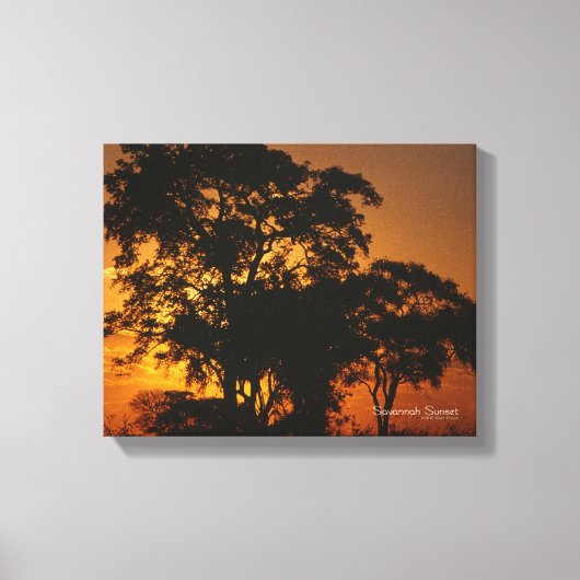 Savannah Sunset Canvas Afdruk (Voorkant)