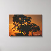 Savannah Sunset Canvas Afdruk (Voorkant)