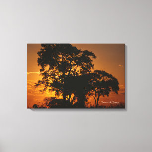 Savannah Sunset Canvas Afdruk