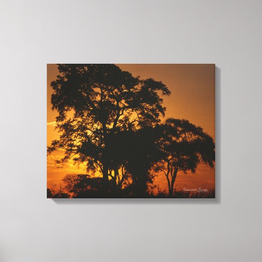 Savannah Sunset Canvas Afdruk (Voorkant)