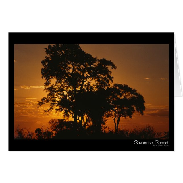 Savannah Sunset Card (Voorkant Horizontaal)
