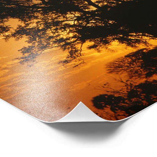 Savannah Sunset Foto Afdruk (Hoek)