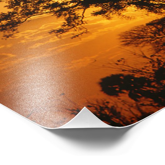 Savannah Sunset Foto Afdruk (Hoek)