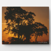 Savannah Sunset Fotoplaat (Voorkant)