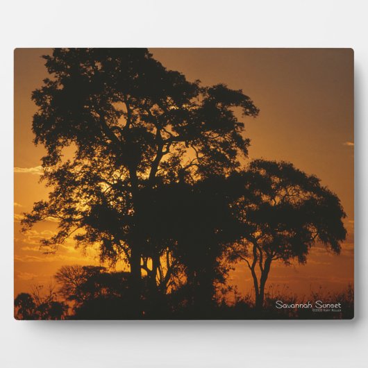 Savannah Sunset Fotoplaat (Voorkant)
