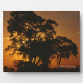 Savannah Sunset Fotoplaat (Voorkant)