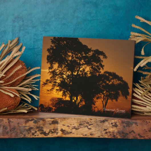 Savannah Sunset Fotoplaat (Zijkant)