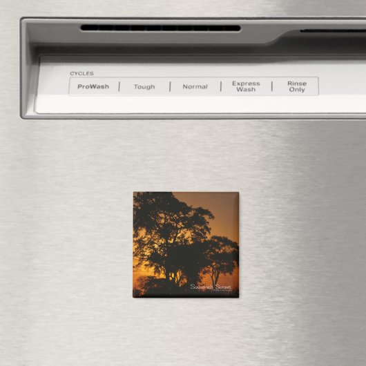 Savannah Sunset Magneet (Insitu (Vaatwasser))