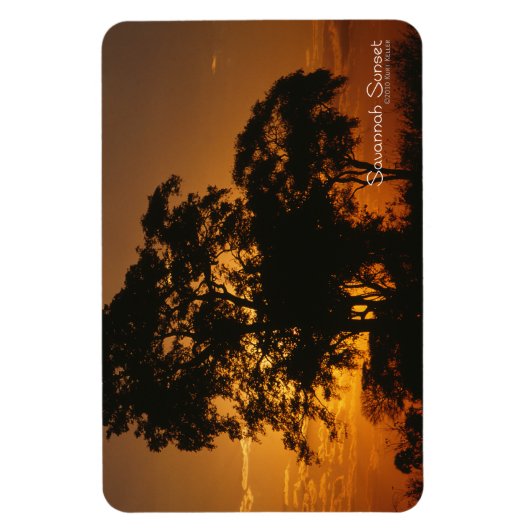 Savannah Sunset Magneet (Verticaal)