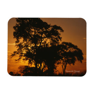 Savannah Sunset Photo Magnet Magneet