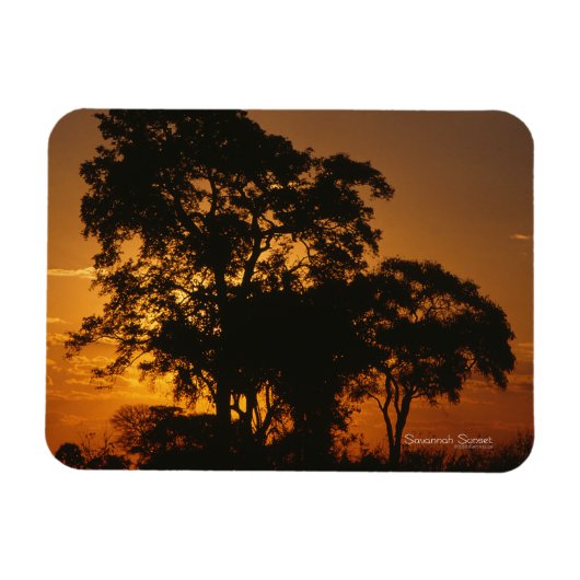 Savannah Sunset Photo Magnet Magneet (Horizontaal)
