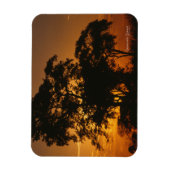 Savannah Sunset Photo Magnet Magneet (Verticaal)