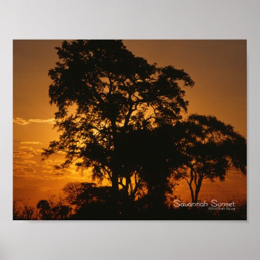 Savannah Sunset Poster (Voorkant)