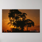 Savannah Sunset Poster (Voorkant)