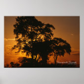 Savannah Sunset Poster (Voorkant)