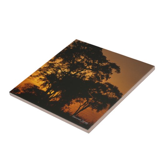 Savannah Sunset Tegeltje (Zijkant)