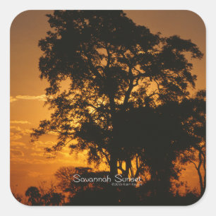 Savannah Sunset Vierkante Sticker