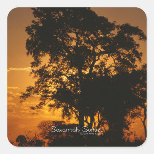 Savannah Sunset Vierkante Sticker