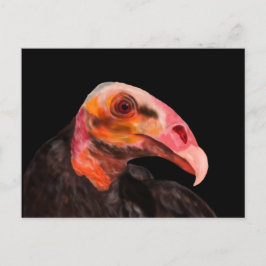 Savannah Vulture Briefkaart