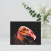 Savannah Vulture Briefkaart (Staand voorkant)