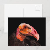 Savannah Vulture Briefkaart (Voorkant / Achterkant)