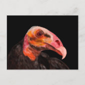 Savannah Vulture Briefkaart (Voorkant)