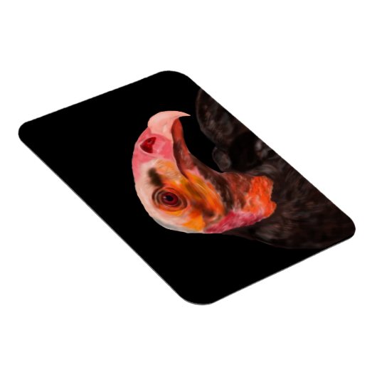 Savannah Vulture Magneet (Rechterzijde)