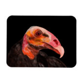 Savannah Vulture Magneet (Horizontaal)
