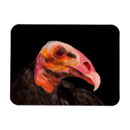 Savannah Vulture Magneet
