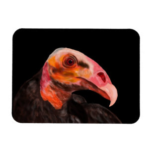Savannah Vulture Magneet