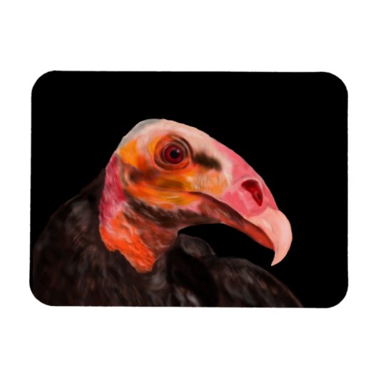Savannah Vulture Magneet (Horizontaal)